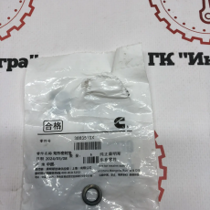 Беговое кольцо (П-кольцо) 3883510 / 3881512 QSM/ISM-11 - Запчасти для спецтехники