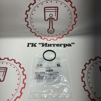 Кольцо теплообменника 3080769 QSM/ISM-11 - Запчасти для спецтехники