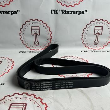 Ремень 8pk1700 3289135 - Запчасти для спецтехники