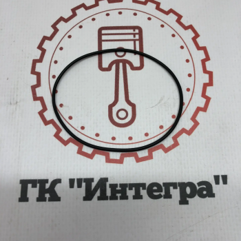 Кольцо уплотнительное заглушки распредвала 3926048 8,3, QSL9, 6LTAA8.9, ISL9, L8.9 - Запчасти для спецтехники