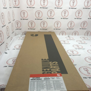 Набор прокладок нижний 4089391 (4376512/3801007) KTA-19 - Запчасти для спецтехники